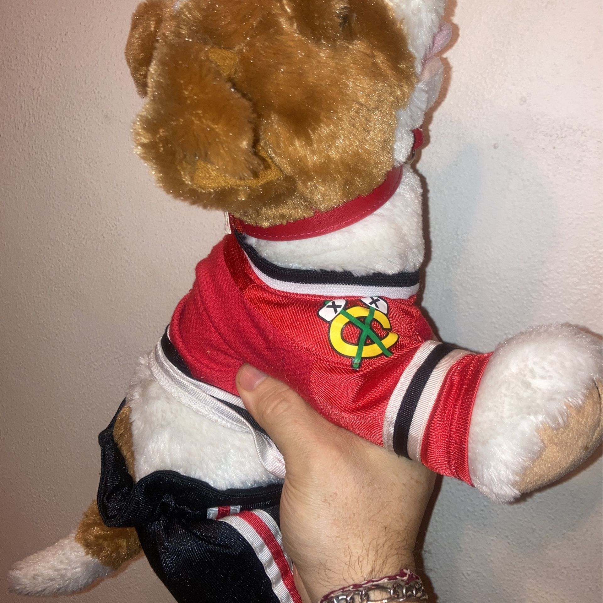 Build A Bear Brown And White Terrier 2010, Blackhawks Outfit - photo 3