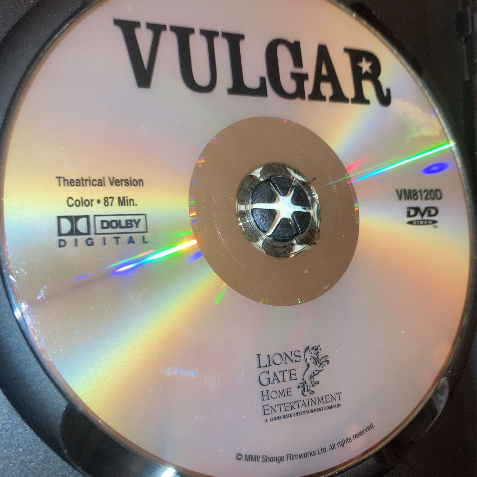 Vulgar DVD - Brian Christopher O’Halloran - photo 3