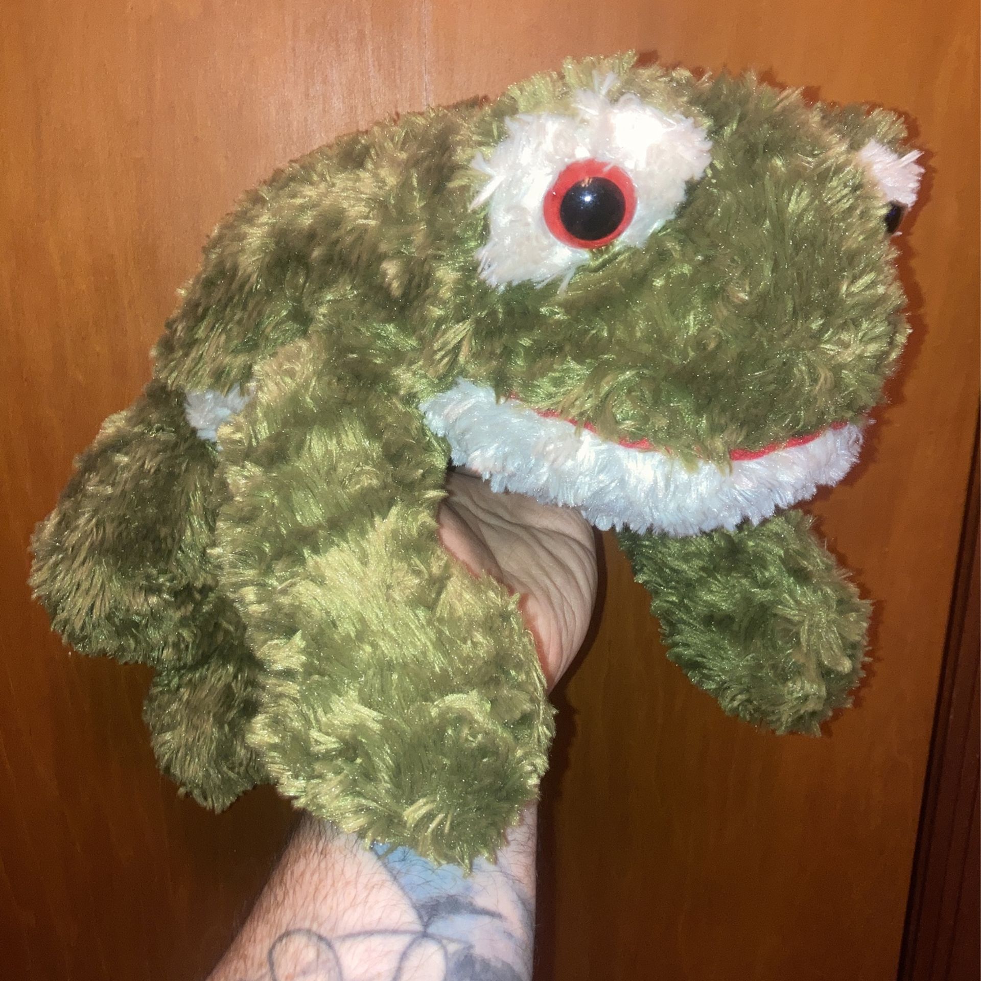 Electronic Frog Plush
