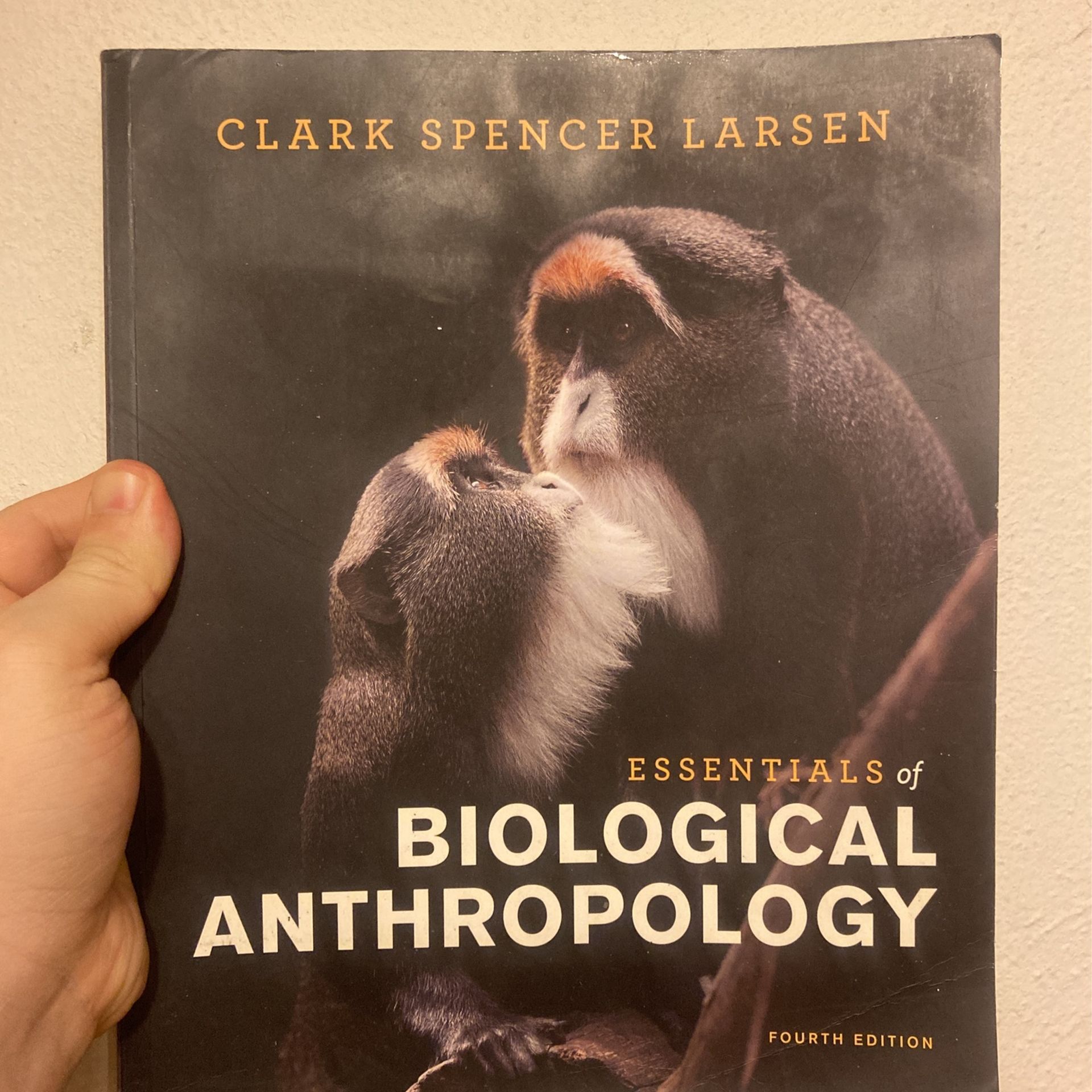 Essentials Of Biological Anthropology - Fourth Edition