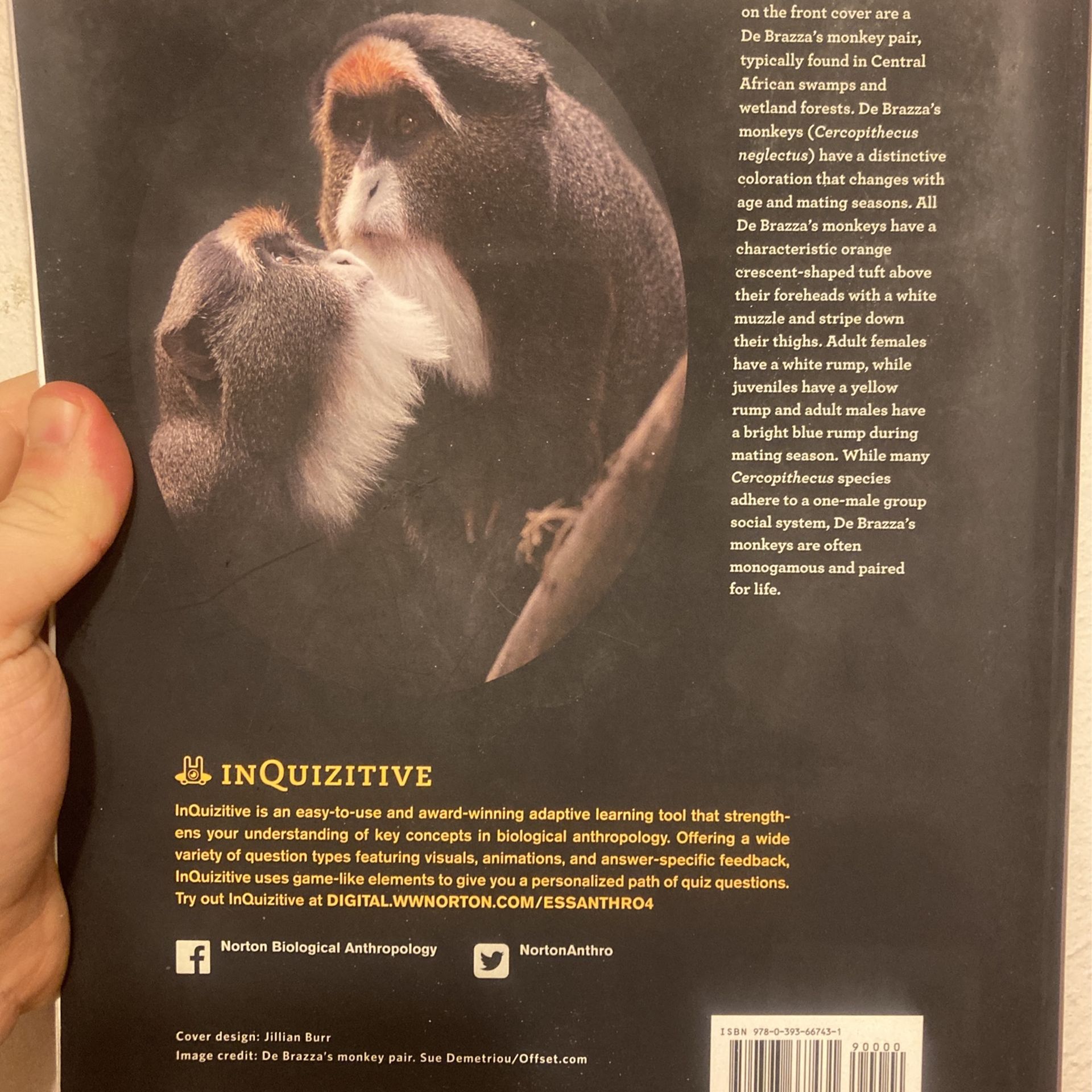 Essentials Of Biological Anthropology - Fourth Edition - photo 2