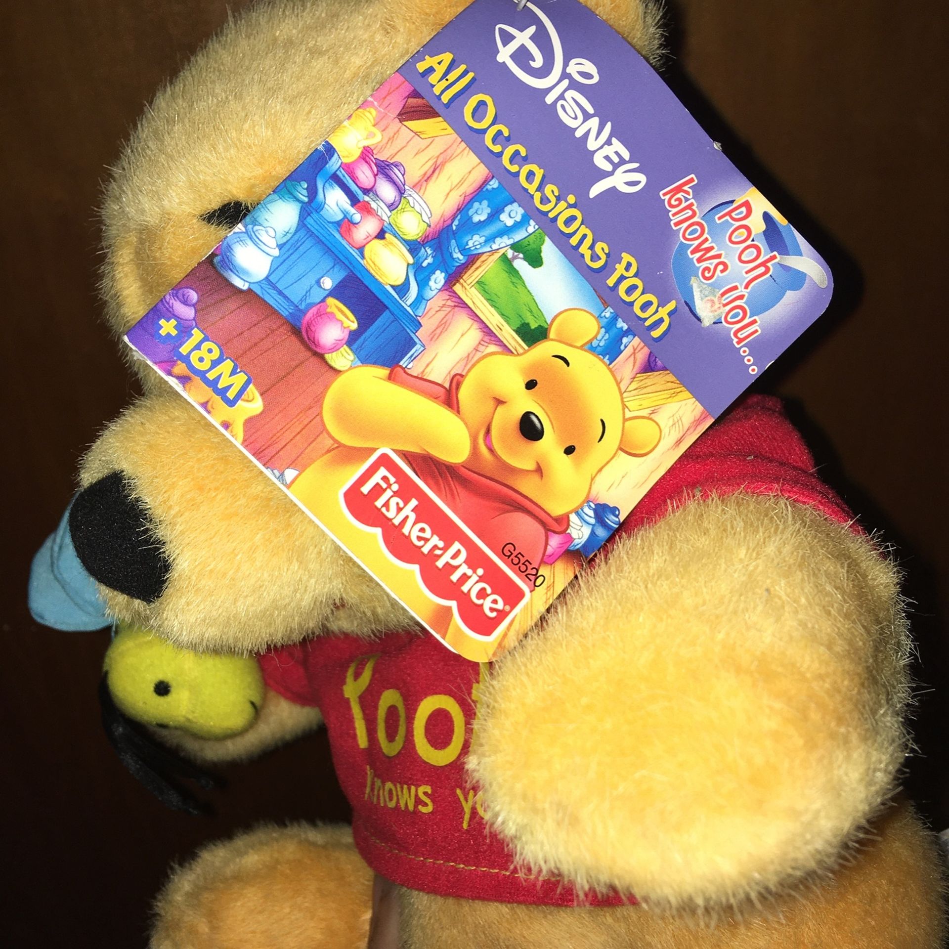 Ultra Rare Pooh Knows You Electronic Doll - photo 3
