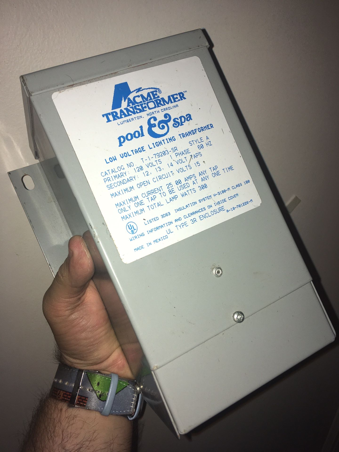 Acme 300W Low Voltage Lighting Transformer