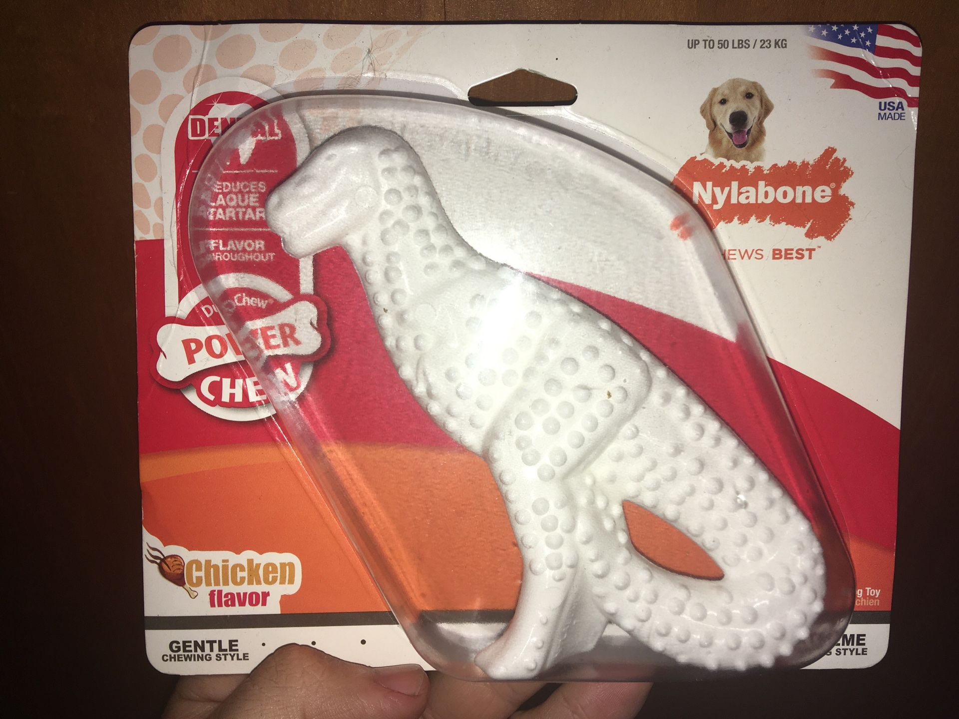 Nylabone Dinosaur Dental Power Chew