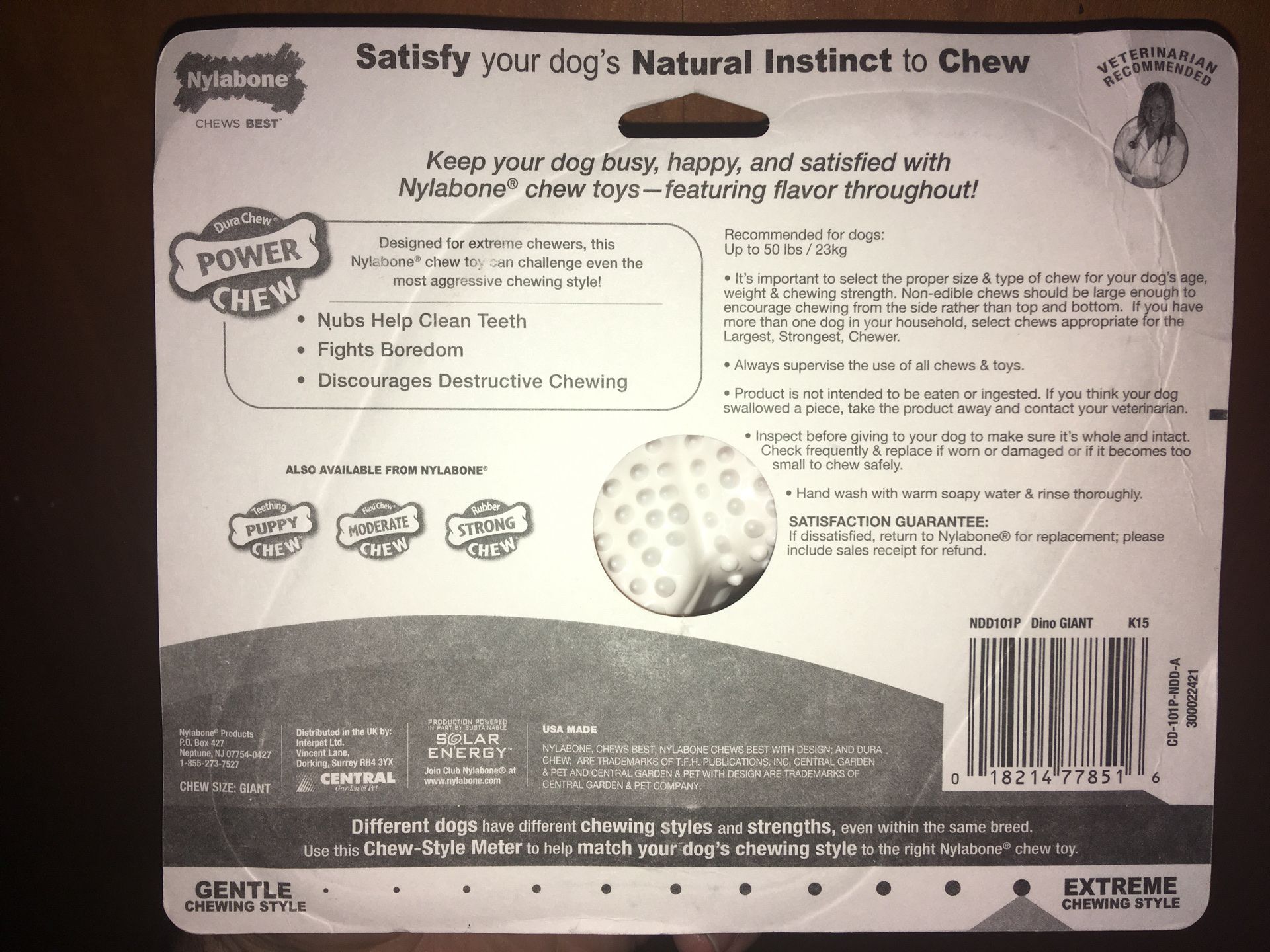 Nylabone Dinosaur Dental Power Chew - photo 2