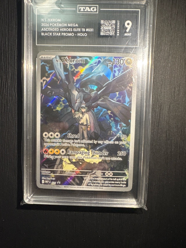 Pokémon N's Zekrom TAG Graded Card
