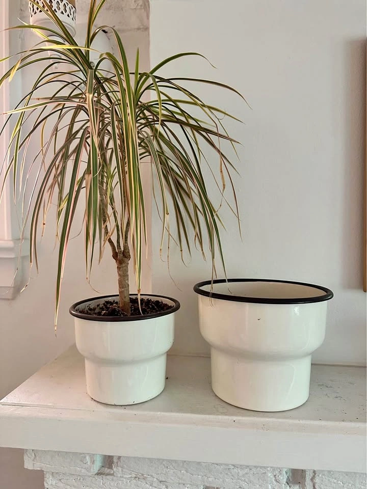 2 cute metal IKEA pots + 1 plant