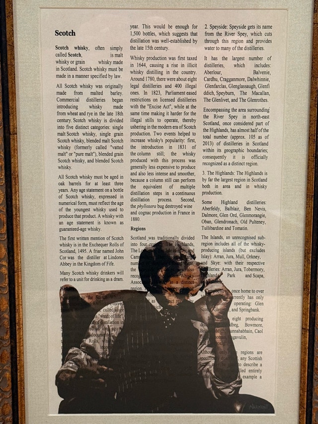 Marmont Hill Scotch Whisky Framed Wall Art - photo 2