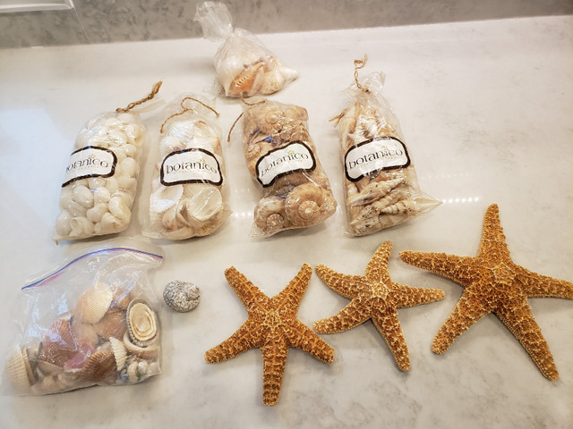 Seashells and starfish home decor, ocean, salt water