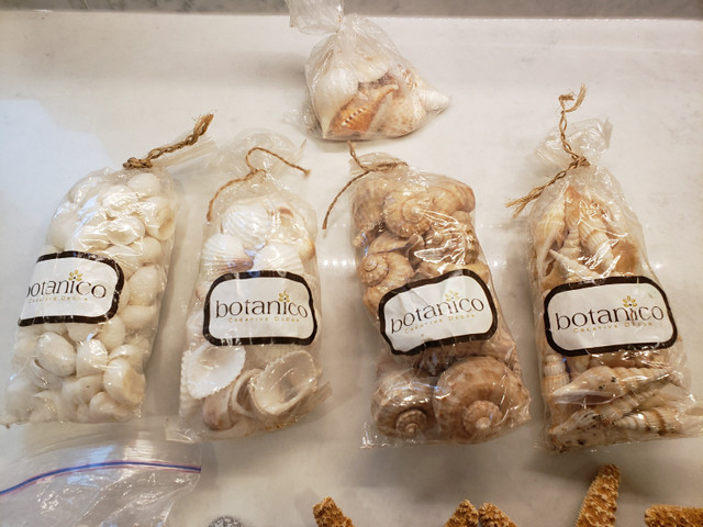 Seashells and starfish home decor, ocean, salt water - photo 2