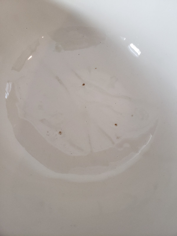 TG Green Ltd Mixing Bowl Gripstand Yellow Ware Large 6's - photo 5