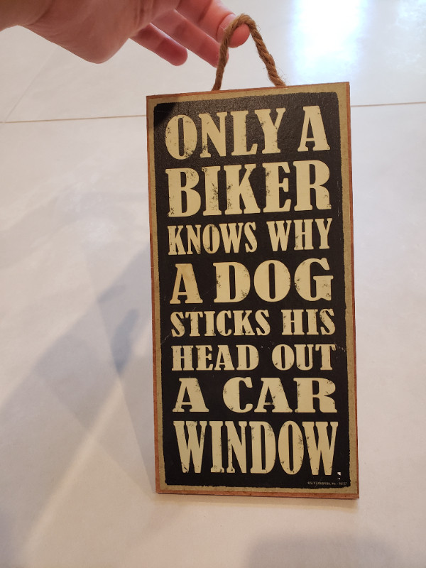 Only a biker knows why a dog sticks his head out a car