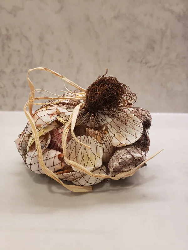 Bag of seashells thumbnail