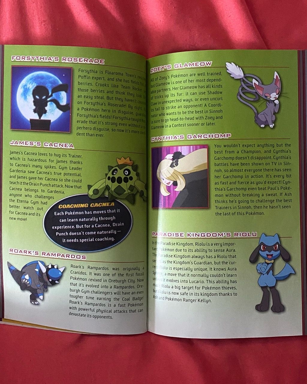 Pokémon: Sinnoh Hall of Fame (Book) - photo 3