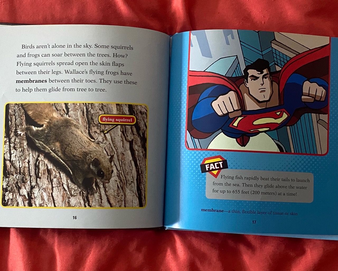 The Science Behind Superman’s Flight (Book) - photo 3
