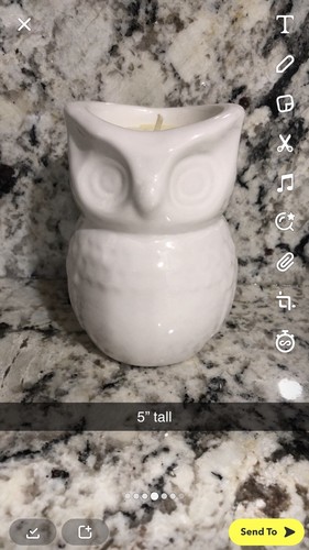 Candle owl brand new