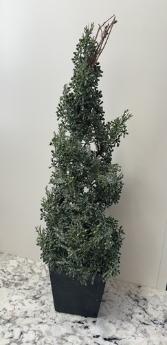 Christmas Tree Crate And Barrel