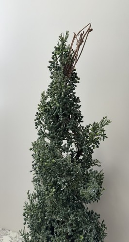 Christmas Tree Crate And Barrel - photo 3