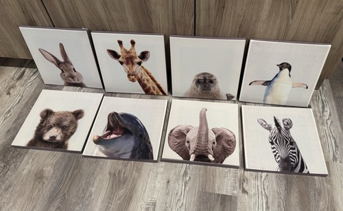 Nursery Baby Animal Canvas Pics, 12 Canvas