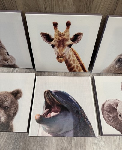 Nursery Baby Animal Canvas Pics, 12 Canvas - photo 3