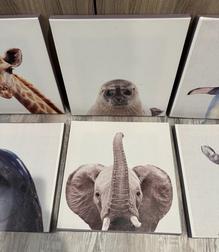 Nursery Baby Animal Canvas Pics, 12 Canvas - photo 4