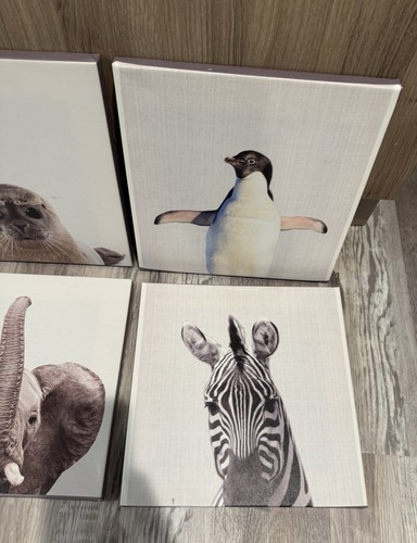 Nursery Baby Animal Canvas Pics, 12 Canvas - photo 5