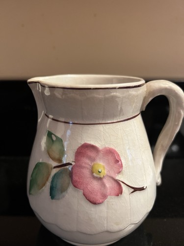 Antique 1882 Chesapeake Pottery Wild Rose Pitcher - photo 4