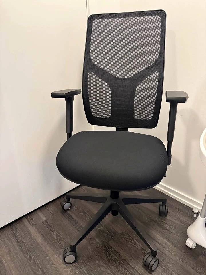 Staples Ergonomic Desk Chair