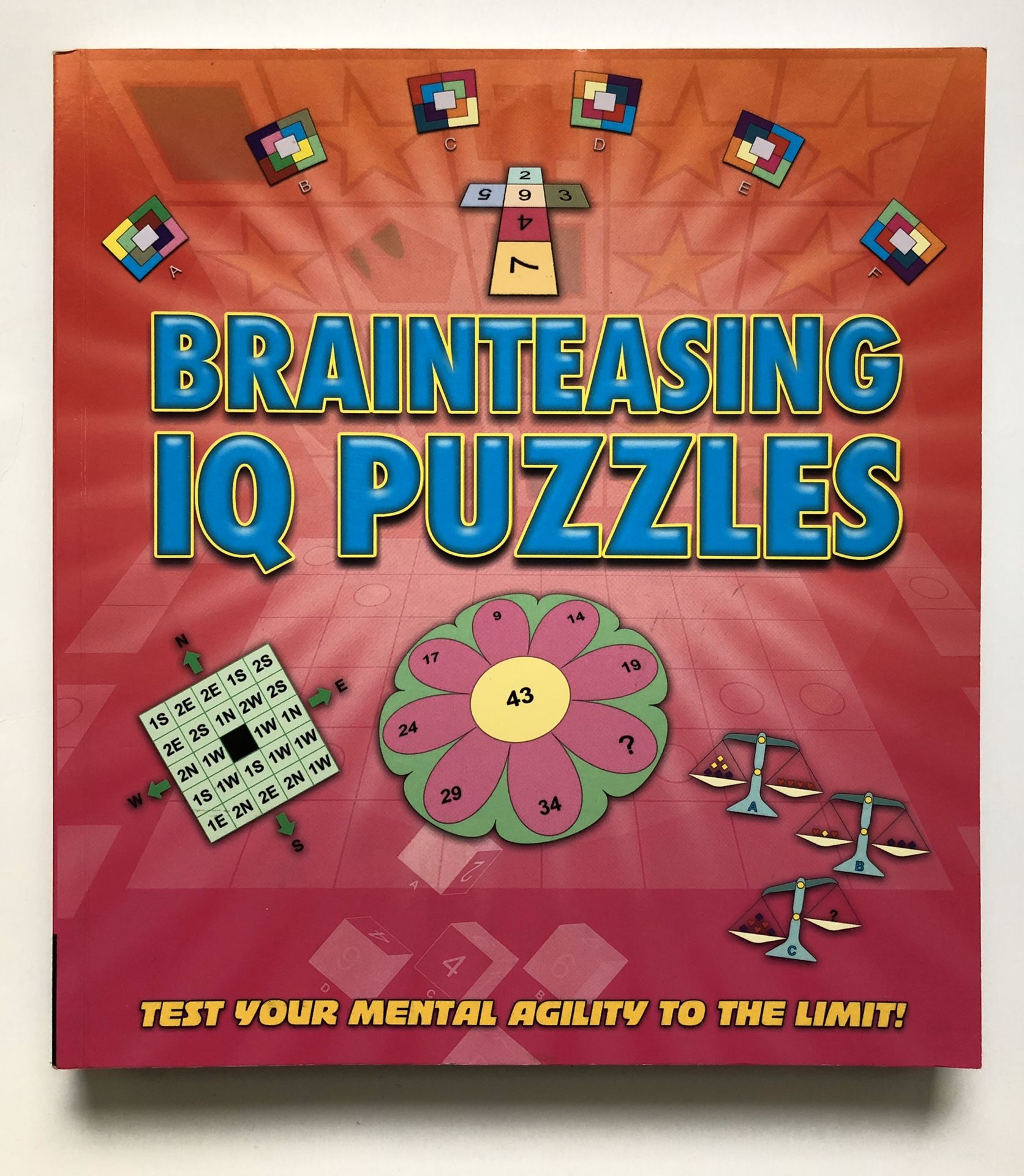 Brain Teasing IQ Puzzles