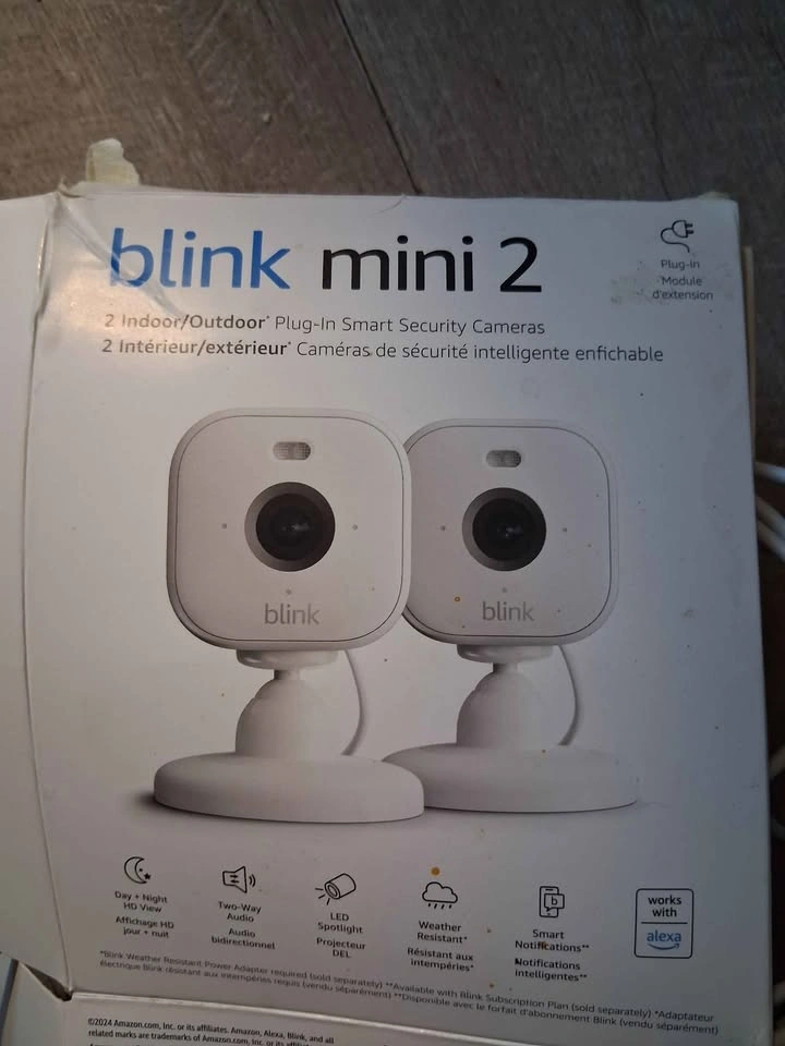 2 Blink Mini 2 Cameras