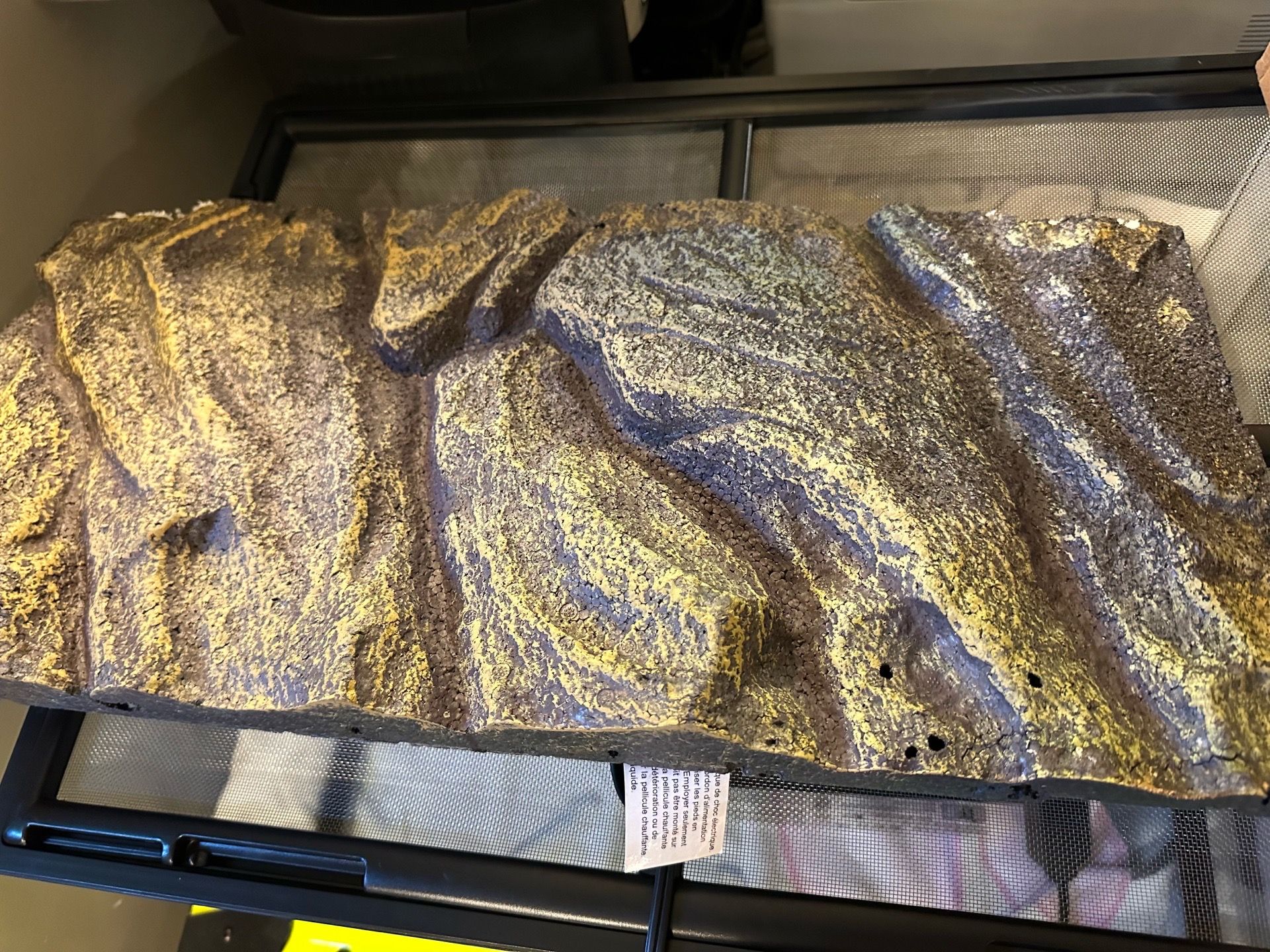 2 Terrariums Setup for Reptiles with Many Accessories - photo 4