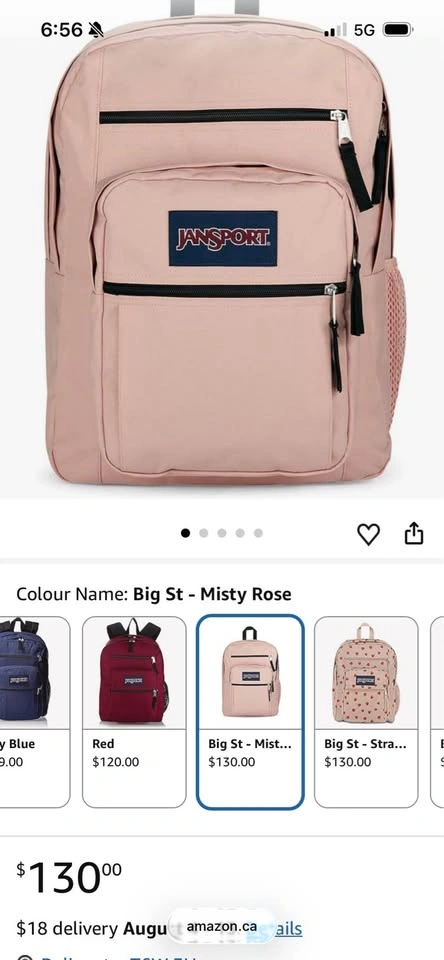 New JanSport Backpack - photo 2