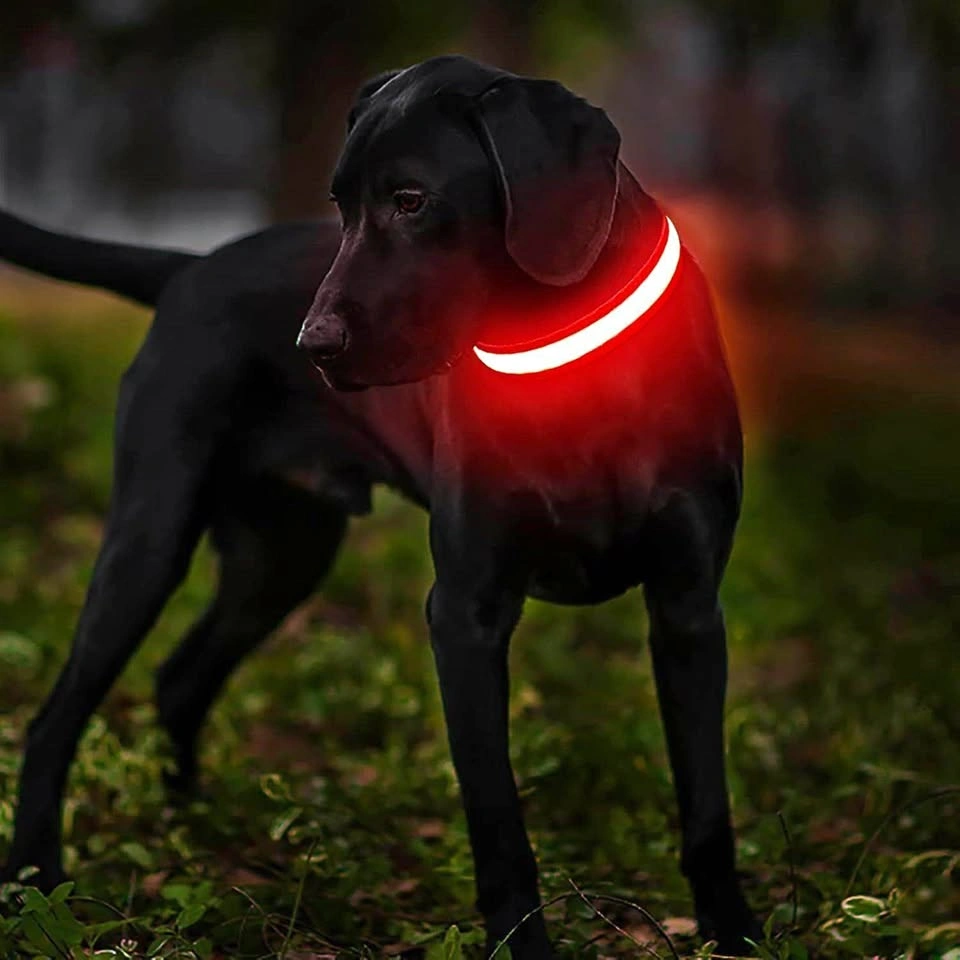 New! MASBRILL LED Dog Collar medium 4 colour
