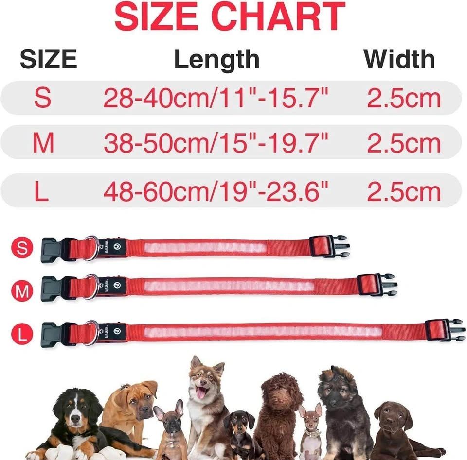 New! MASBRILL LED Dog Collar medium 4 colour - photo 4