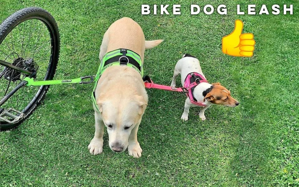 New! Bike Dog Leash