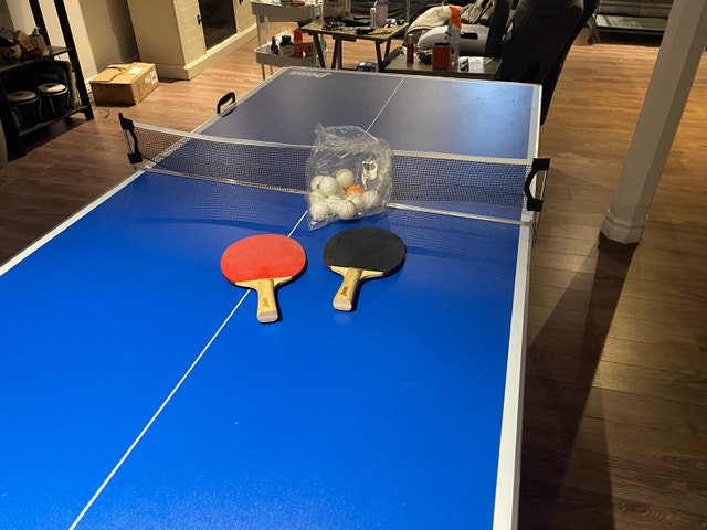 Ping pong table (portable)
