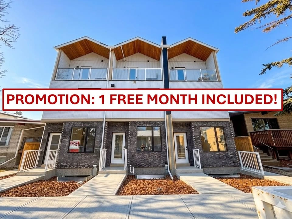 1 Bed 1 Bath Apartment