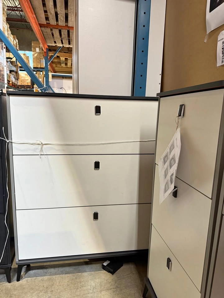 Contemporary Shoe Cabinet - Multi-Size Storage Solution