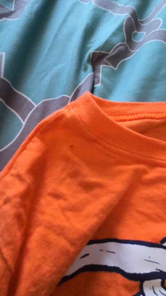 Size 12 Halloween Shirt - photo 2