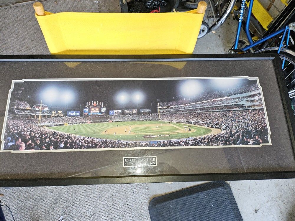 US CELLULAR FIELD PROFESSIONALLY FRAMED PICTURE