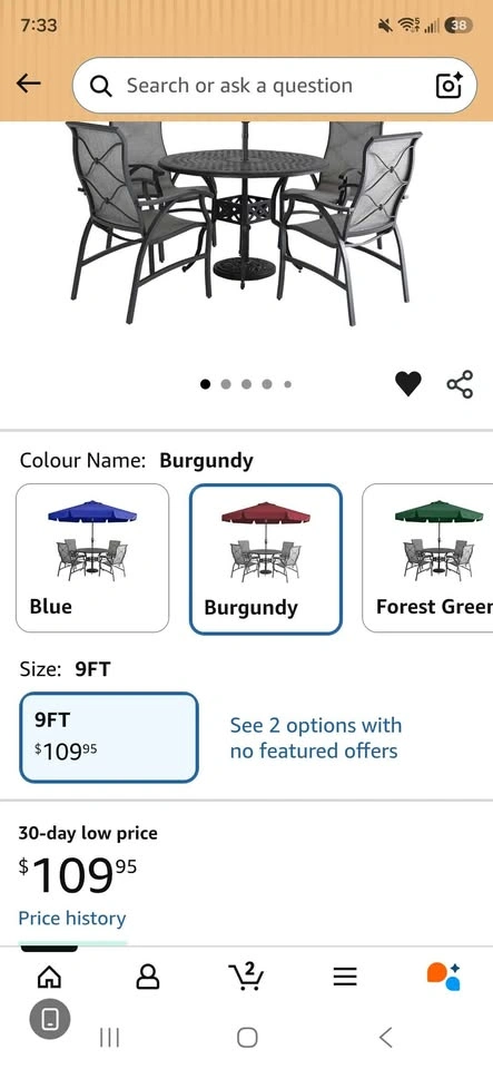 9ft Patio Umbrella with Valance NEW - photo 3