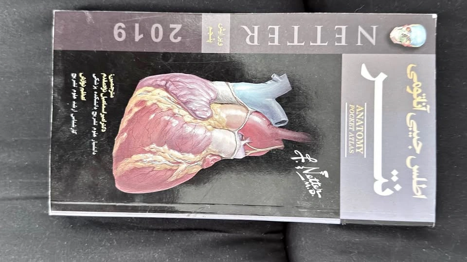 Netter Anatomy Pocket Atlas 5th Edition