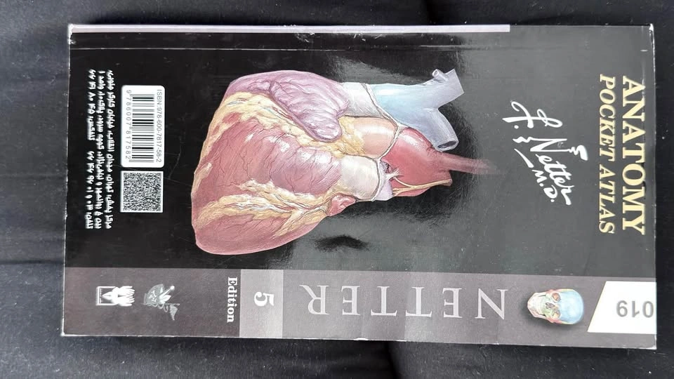Netter Anatomy Pocket Atlas 5th Edition - photo 2