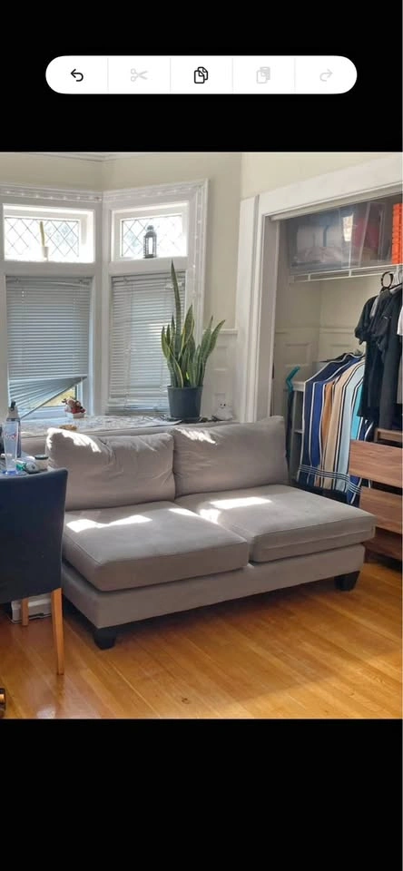Loveseat couch sofa