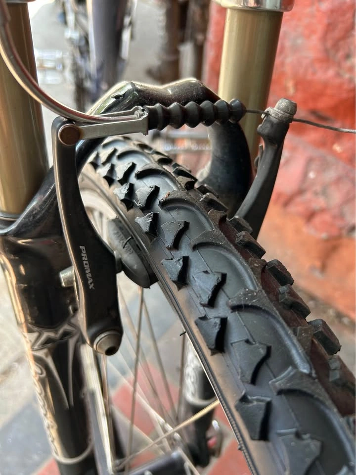 Gary Fisher Mountain Bike 18” - photo 3
