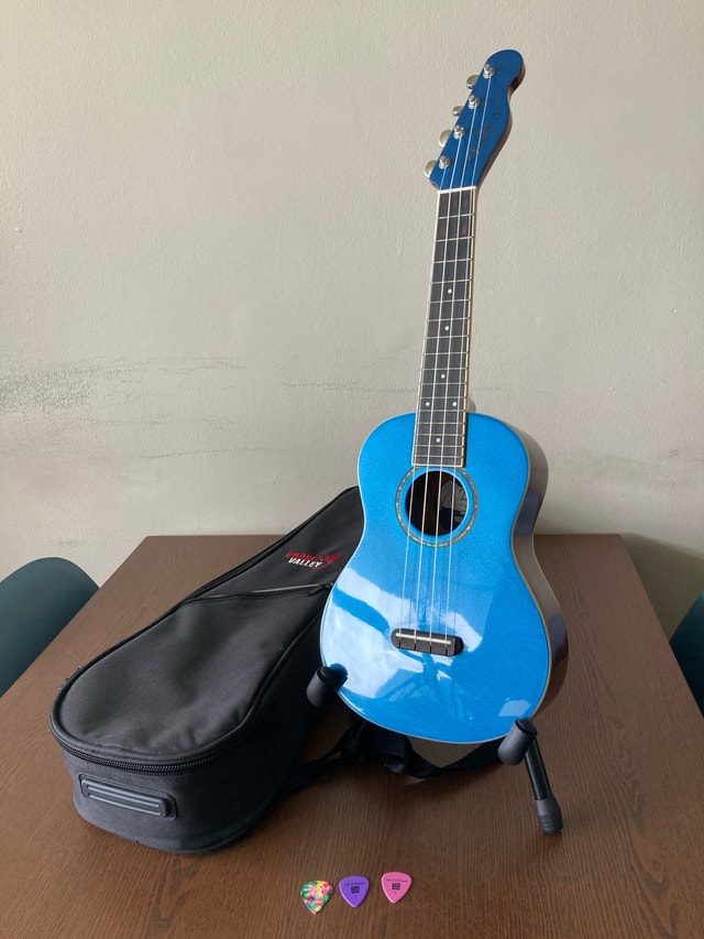 Fender Zuma Concert Ukulele with bag and stand