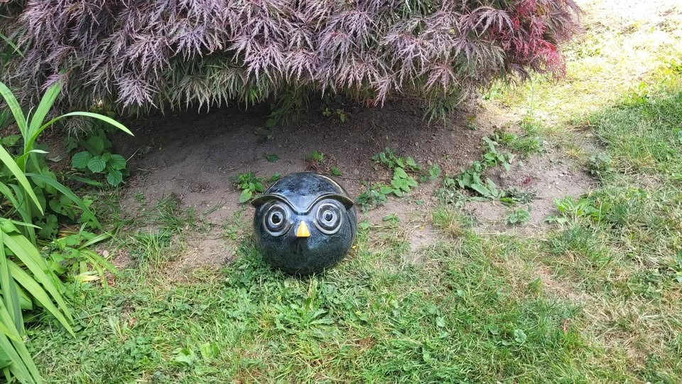Ceramic Owl - photo 2
