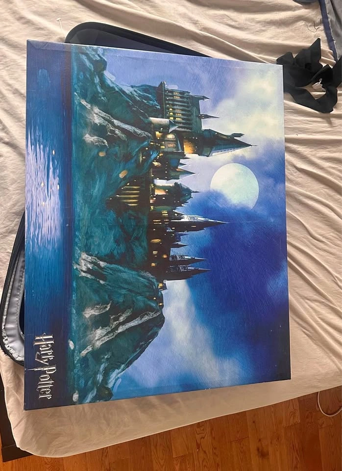 Harry Potter canvas