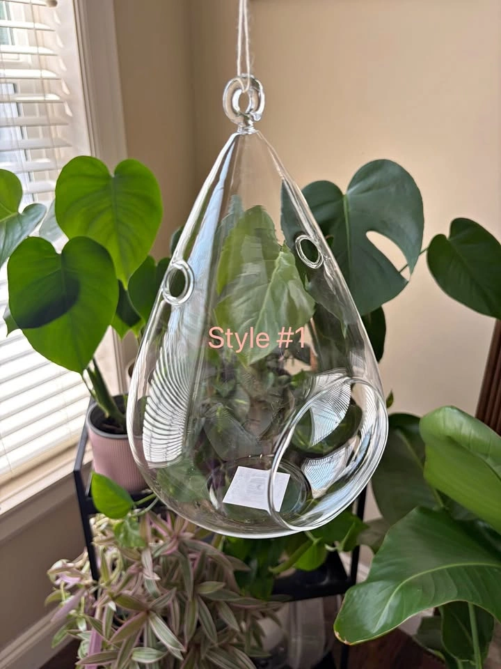 New glass hanging planters/vases/terrariums