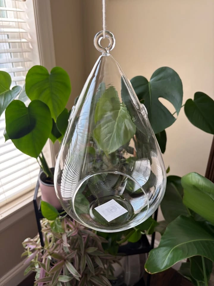 New glass hanging planters/vases/terrariums - photo 2
